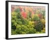 Michigan, Upper Peninsula. Colorful Autumn Tree Scenic-Julie Eggers-Framed Photographic Print