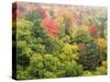 Michigan, Upper Peninsula. Colorful Autumn Tree Scenic-Julie Eggers-Stretched Canvas