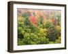 Michigan, Upper Peninsula. Colorful Autumn Tree Scenic-Julie Eggers-Framed Photographic Print