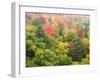 Michigan, Upper Peninsula. Colorful Autumn Tree Scenic-Julie Eggers-Framed Photographic Print