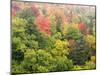 Michigan, Upper Peninsula. Colorful Autumn Tree Scenic-Julie Eggers-Mounted Photographic Print