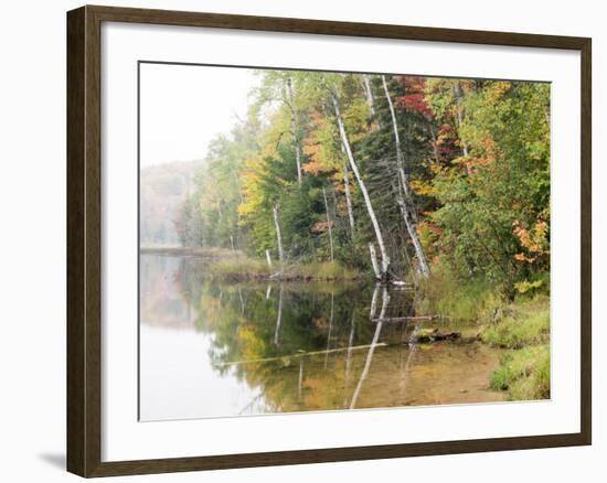 Michigan, Upper Peninsula. Fall Colors on Thornton Lake, Alger Co-Julie Eggers-Framed Photographic Print