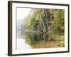 Michigan, Upper Peninsula. Fall Colors on Thornton Lake, Alger Co-Julie Eggers-Framed Photographic Print