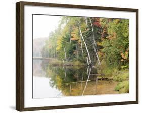 Michigan, Upper Peninsula. Fall Colors on Thornton Lake, Alger Co-Julie Eggers-Framed Photographic Print