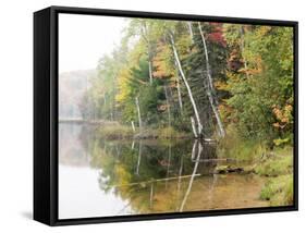 Michigan, Upper Peninsula. Fall Colors on Thornton Lake, Alger Co-Julie Eggers-Framed Stretched Canvas