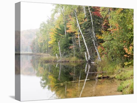 Michigan, Upper Peninsula. Fall Colors on Thornton Lake, Alger Co-Julie Eggers-Stretched Canvas