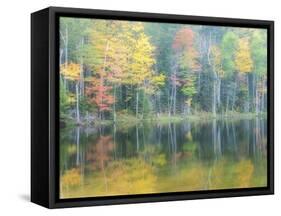 Michigan, Upper Peninsula. Fall Colors on Thornton Lake, Alger Co-Julie Eggers-Framed Stretched Canvas