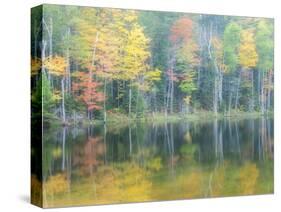 Michigan, Upper Peninsula. Fall Colors on Thornton Lake, Alger Co-Julie Eggers-Stretched Canvas