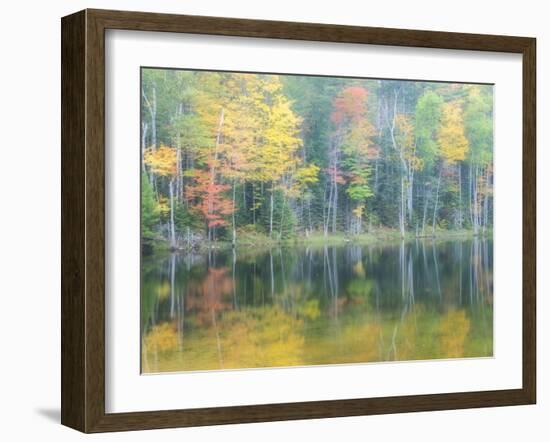 Michigan, Upper Peninsula. Fall Colors on Thornton Lake, Alger Co-Julie Eggers-Framed Photographic Print