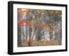 Michigan, Upper Peninsula. Forest of Maples and Ferns-Julie Eggers-Framed Photographic Print