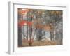 Michigan, Upper Peninsula. Forest of Maples and Ferns-Julie Eggers-Framed Photographic Print