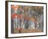 Michigan, Upper Peninsula. Forest of Maples and Ferns-Julie Eggers-Framed Photographic Print