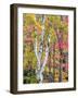 Michigan, Upper Peninsula. Hardwood Forest in Ontonagon County in Fall-Julie Eggers-Framed Photographic Print