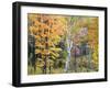 Michigan, Upper Peninsula. Hardwood Forest in Ontonagon County in Fall-Julie Eggers-Framed Photographic Print