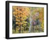 Michigan, Upper Peninsula. Hardwood Forest in Ontonagon County in Fall-Julie Eggers-Framed Premium Photographic Print