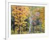 Michigan, Upper Peninsula. Hardwood Forest in Ontonagon County in Fall-Julie Eggers-Framed Photographic Print