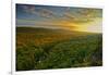 Michigan, Upper Peninsula. Sunset at Porcupine Mountains-Petr Bednarik-Framed Photographic Print