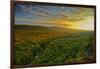 Michigan, Upper Peninsula. Sunset at Porcupine Mountains-Petr Bednarik-Framed Photographic Print