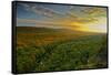 Michigan, Upper Peninsula. Sunset at Porcupine Mountains-Petr Bednarik-Framed Stretched Canvas