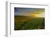 Michigan, Upper Peninsula. Sunset at Porcupine Mountains-Petr Bednarik-Framed Photographic Print