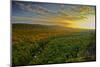 Michigan, Upper Peninsula. Sunset at Porcupine Mountains-Petr Bednarik-Mounted Photographic Print