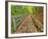 Michigan, Upper Peninsula. Trail Leading to Munising Falls in Autumn-Julie Eggers-Framed Photographic Print