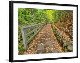 Michigan, Upper Peninsula. Trail Leading to Munising Falls in Autumn-Julie Eggers-Framed Photographic Print