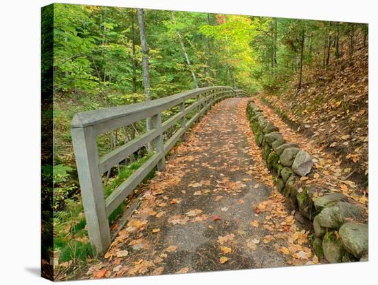 Michigan, Upper Peninsula. Trail Leading to Munising Falls in Autumn-Julie Eggers-Stretched Canvas