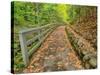 Michigan, Upper Peninsula. Trail Leading to Munising Falls in Autumn-Julie Eggers-Stretched Canvas