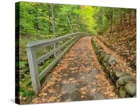 Michigan, Upper Peninsula. Trail Leading to Munising Falls in Autumn-Julie Eggers-Stretched Canvas