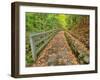 Michigan, Upper Peninsula. Trail Leading to Munising Falls in Autumn-Julie Eggers-Framed Photographic Print