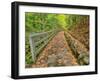 Michigan, Upper Peninsula. Trail Leading to Munising Falls in Autumn-Julie Eggers-Framed Photographic Print