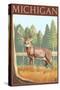 Michigan - White Tailed Deer-Lantern Press-Stretched Canvas