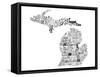 Michigan-Jace Grey-Framed Stretched Canvas