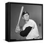 Mickey Mantle (1931-1995)-null-Framed Stretched Canvas