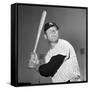 Mickey Mantle (1931-1995)-null-Framed Stretched Canvas