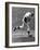 Mickey Mantle (1931-1995)-null-Framed Giclee Print