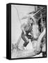 Mickey Rooney, the Adventures of Huckleberry Finn, 1939-null-Framed Stretched Canvas