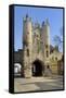 Micklegate Bar-Peter Richardson-Framed Stretched Canvas