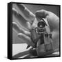 Micro Camera Resting in Palm of Hand-Andreas Feininger-Framed Stretched Canvas