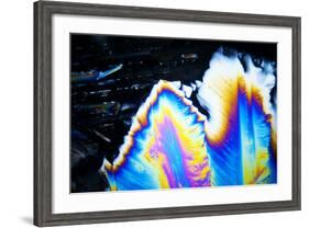 Micro Crystals-3quarks-Framed Photographic Print