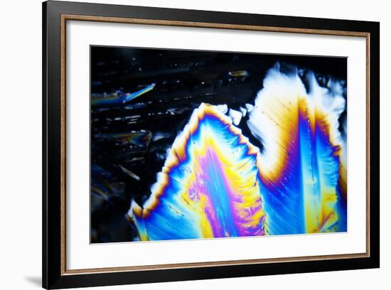 Micro Crystals-3quarks-Framed Photographic Print