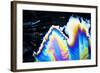 Micro Crystals-3quarks-Framed Photographic Print