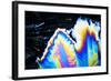 Micro Crystals-3quarks-Framed Photographic Print
