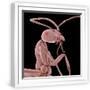 White Frame