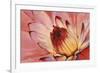 Micro Floral I-Tim OToole-Framed Premium Giclee Print