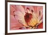 Micro Floral I-Tim OToole-Framed Premium Giclee Print