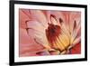 Micro Floral I-Tim OToole-Framed Premium Giclee Print