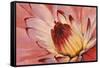 Micro Floral I-Tim OToole-Framed Stretched Canvas