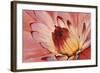 Micro Floral I-Tim OToole-Framed Art Print